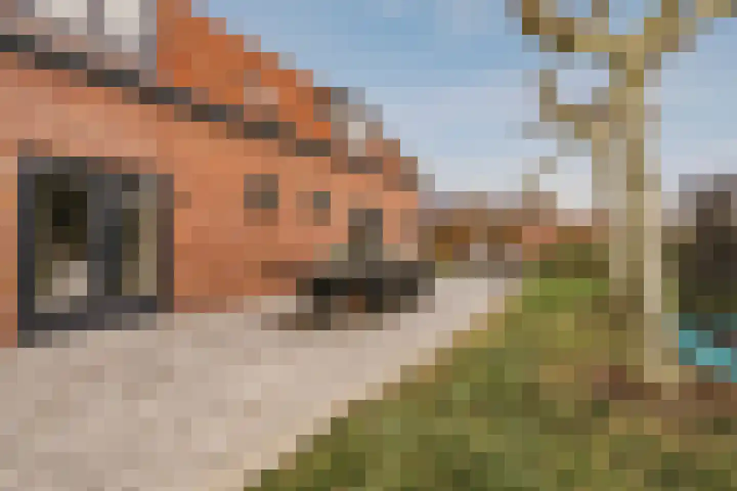 Noordeinde 125 Landsmeer thumbnail 61