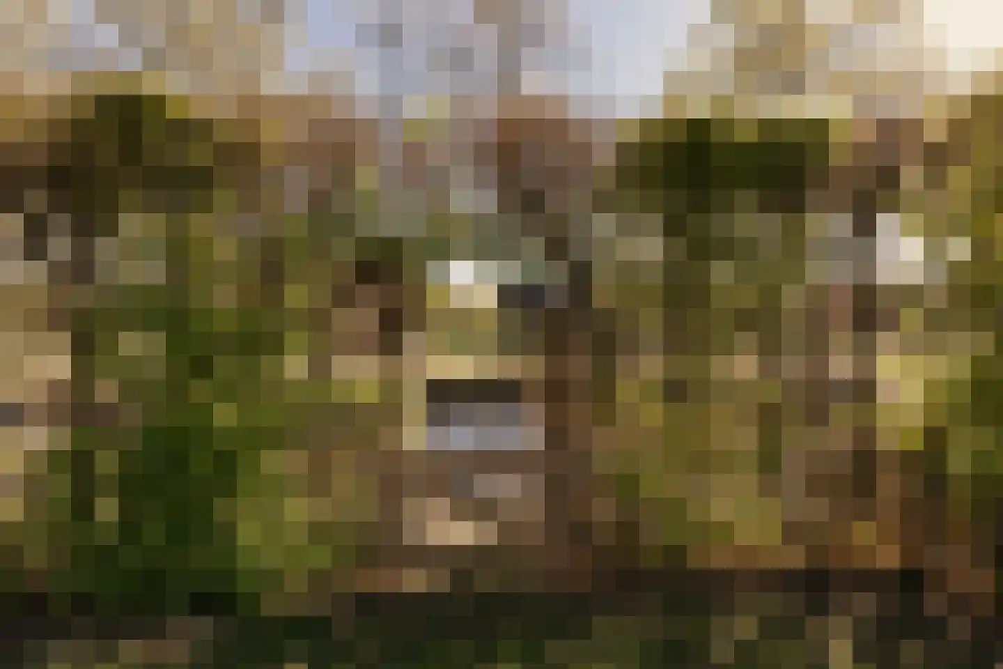 Noordeinde 125 Landsmeer thumbnail 64