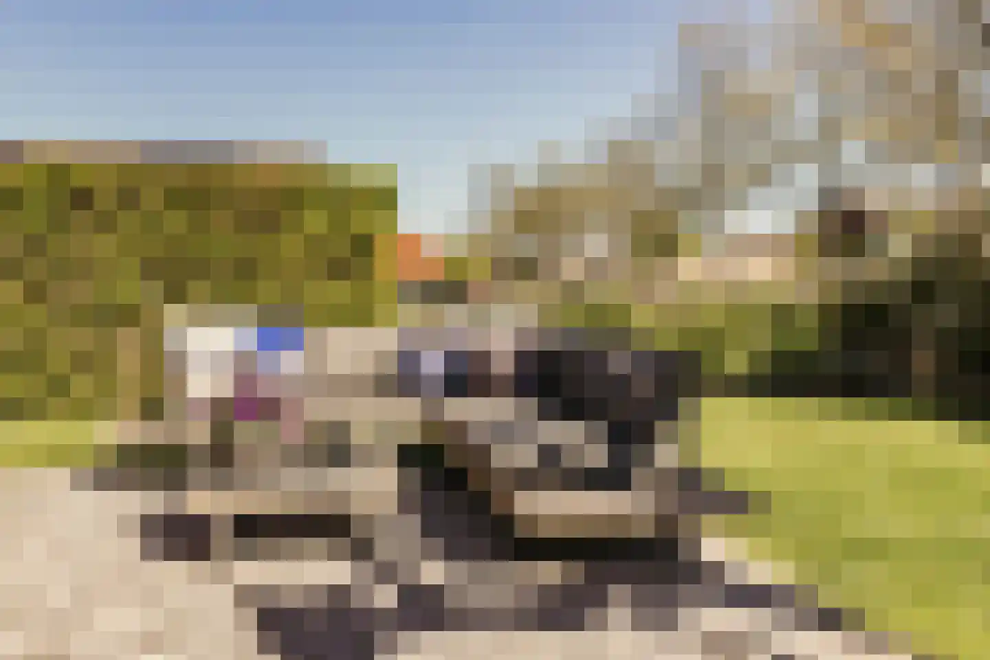 Noordeinde 125 Landsmeer thumbnail 65