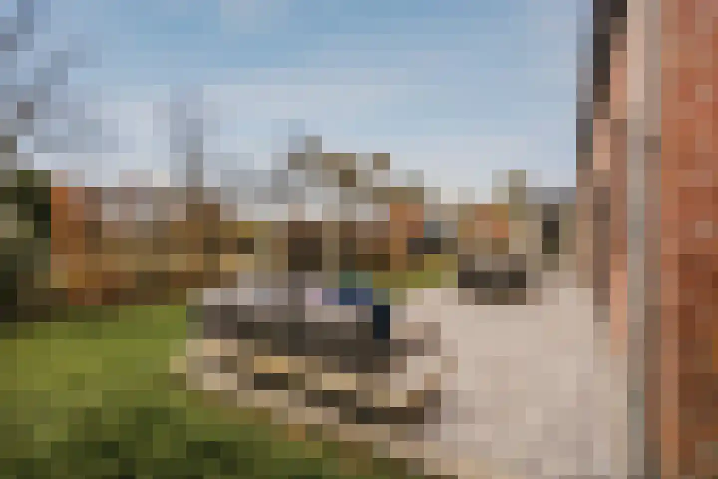 Noordeinde 125 Landsmeer thumbnail 65