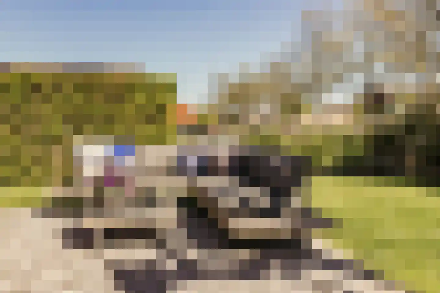 Noordeinde 125 Landsmeer thumbnail 65