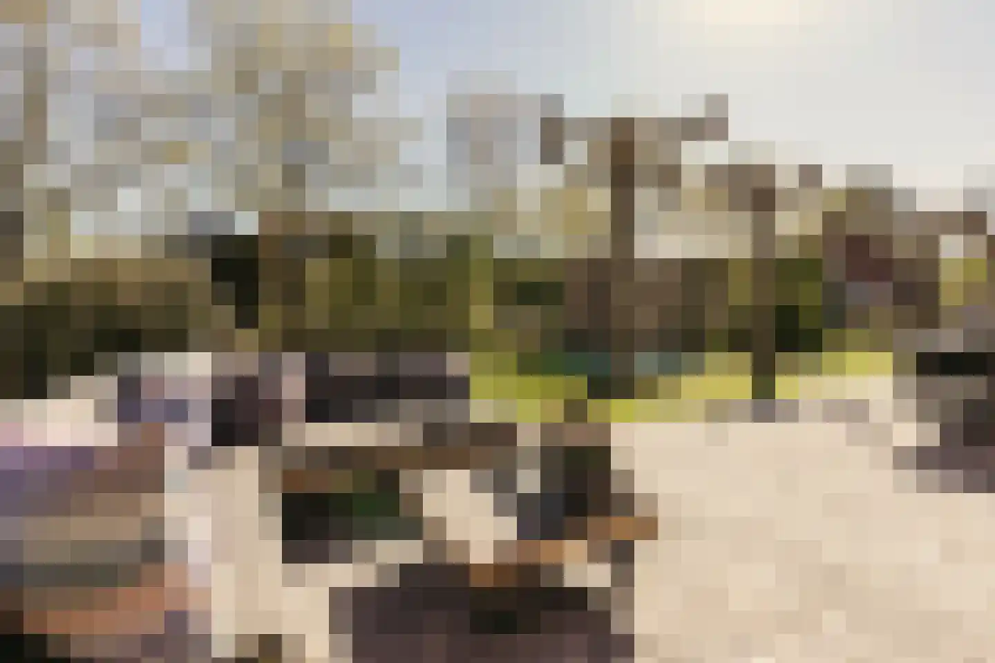 Noordeinde 125 Landsmeer thumbnail 67