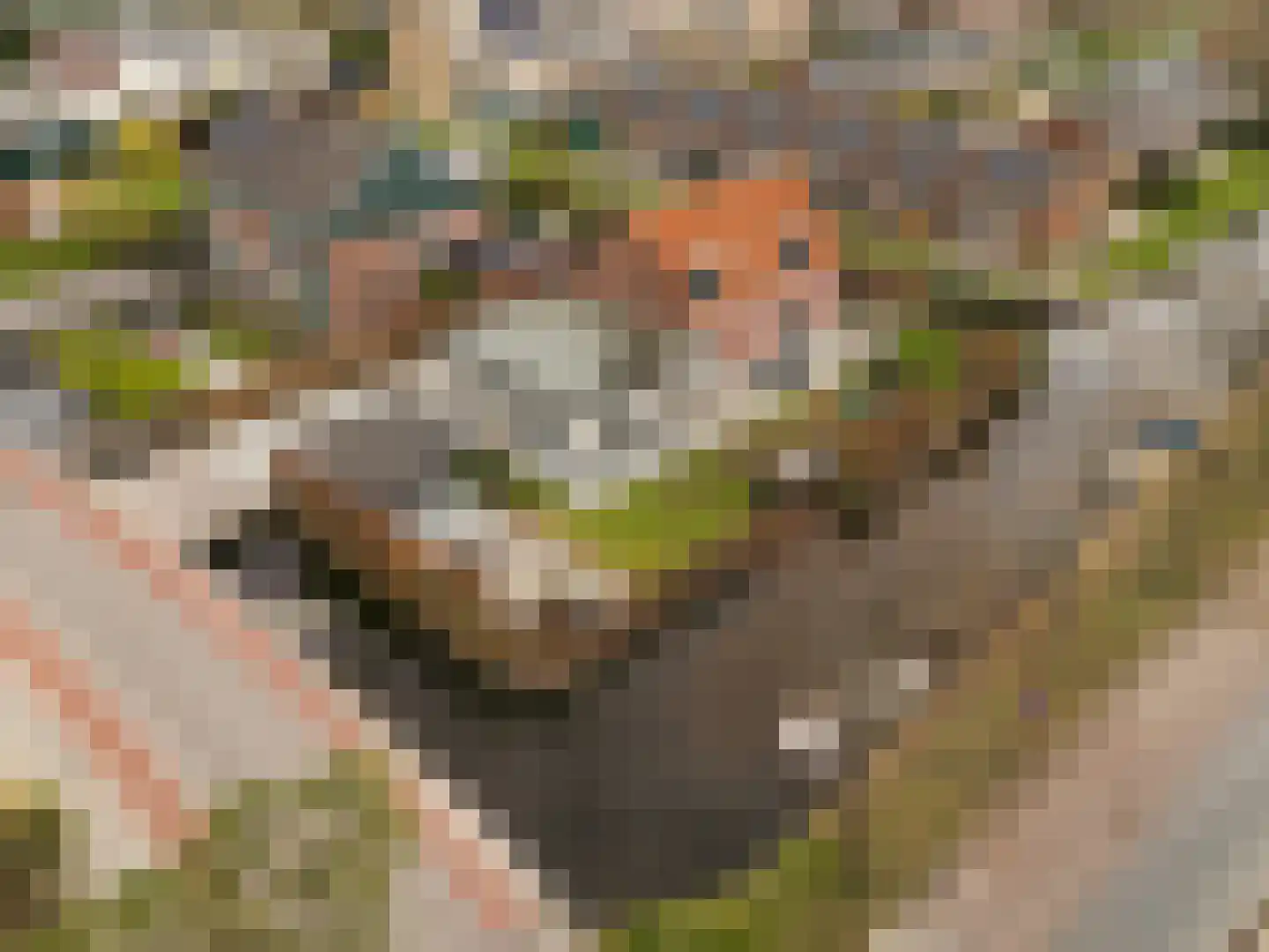 Noordeinde 125 Landsmeer thumbnail 74