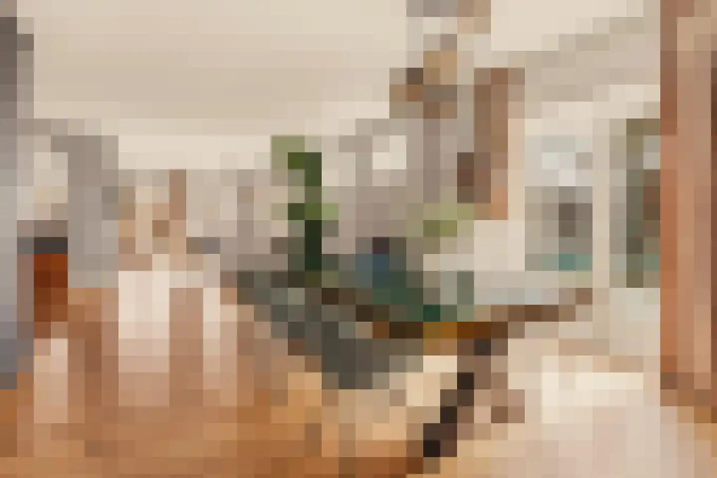 Noordeinde 125 Landsmeer thumbnail 9