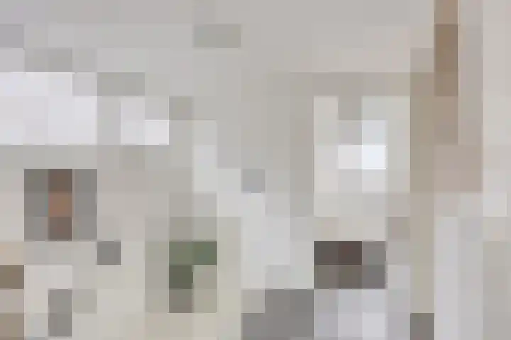 Noordeinde 127 Roelofarendsveen thumbnail 18
