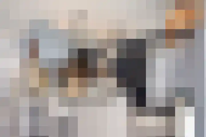 Noordeinde 127 Roelofarendsveen thumbnail 8