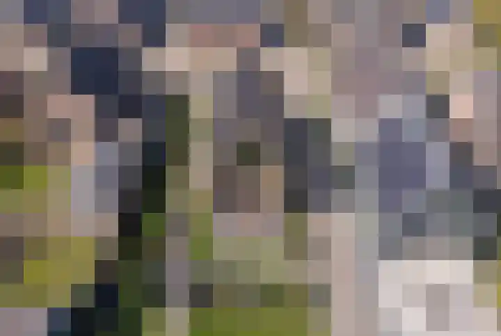 Noordeinde 133 Landsmeer thumbnail 10