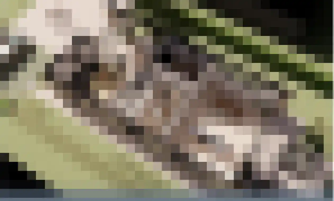 Noordeinde 133 Landsmeer thumbnail 5