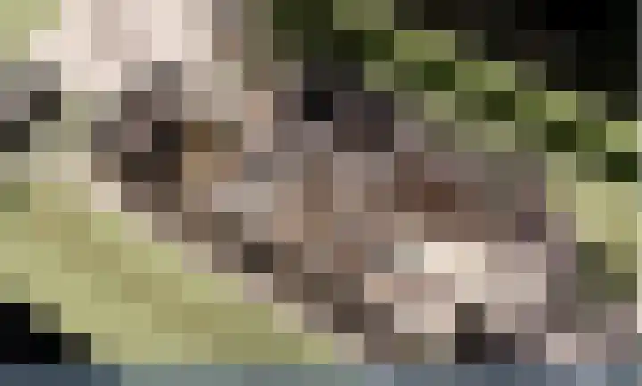 Noordeinde 133 Landsmeer thumbnail 5