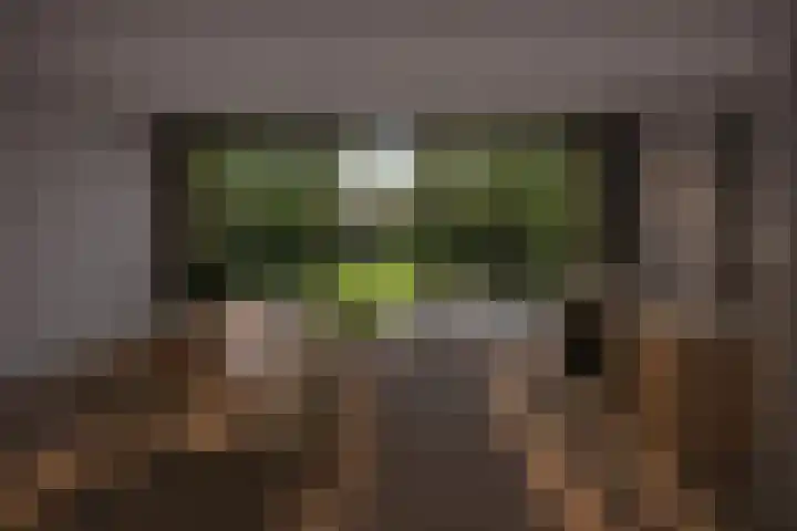Noordeinde 133 Landsmeer thumbnail 6