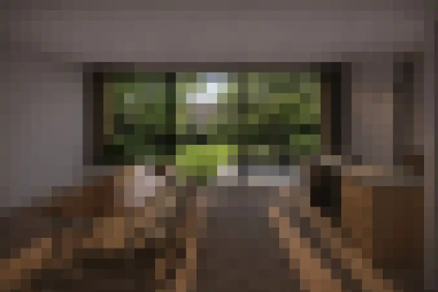 Noordeinde 133 Landsmeer thumbnail 8