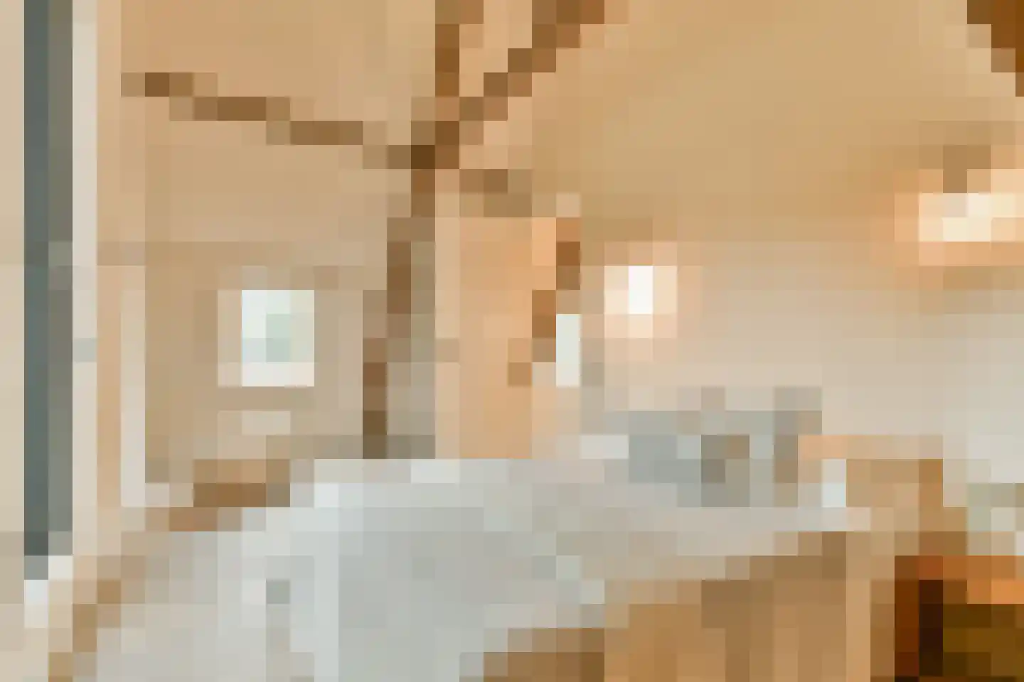 Noordeinde 134 Landsmeer thumbnail 17