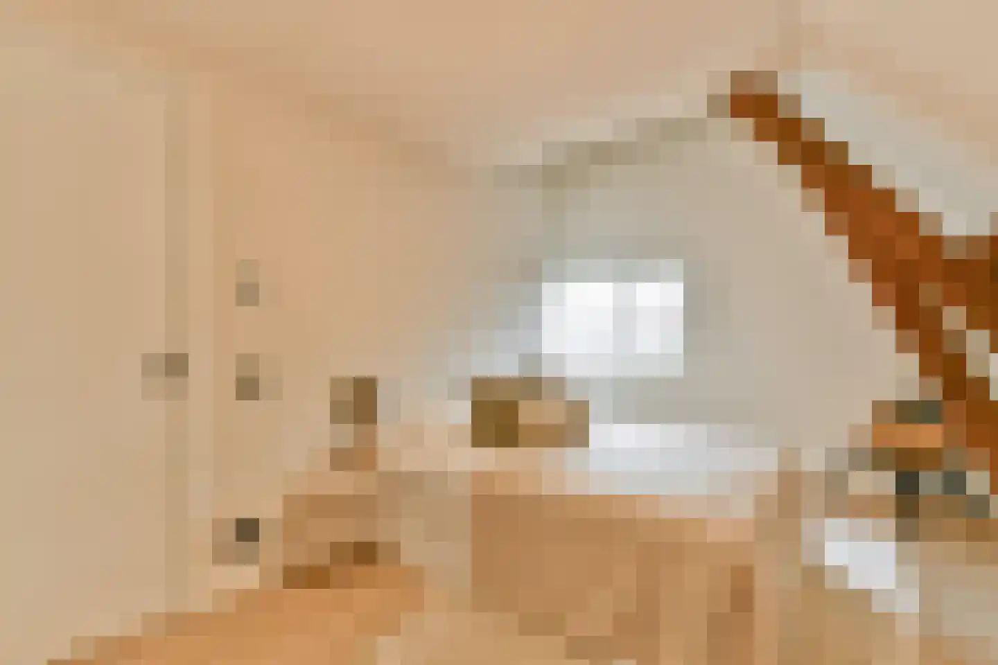 Noordeinde 134 Landsmeer thumbnail 23