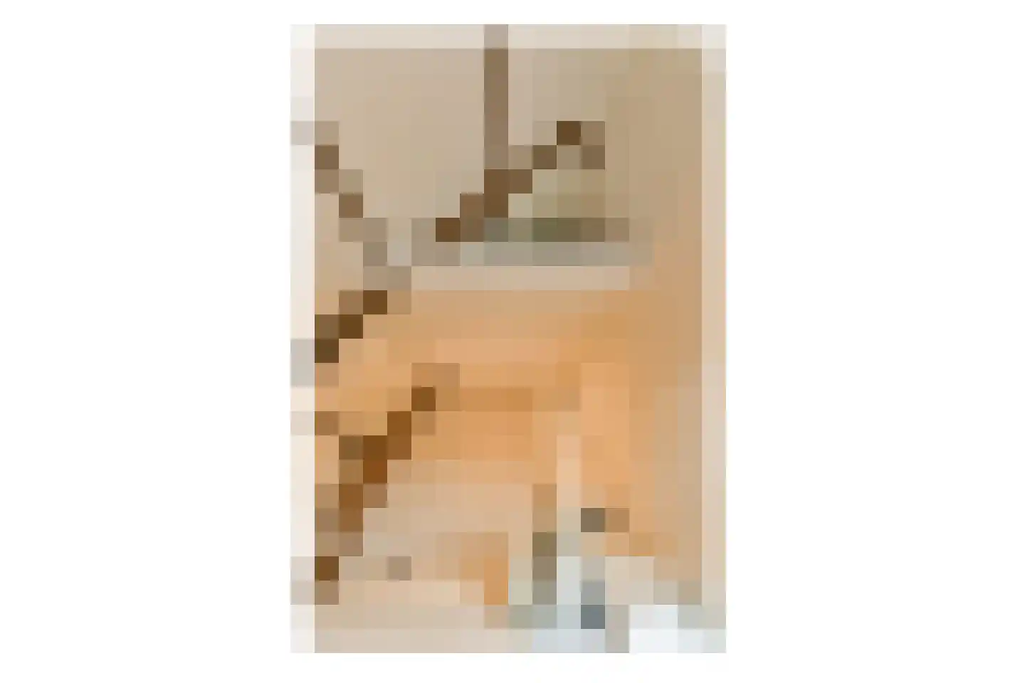Noordeinde 134 Landsmeer thumbnail 25