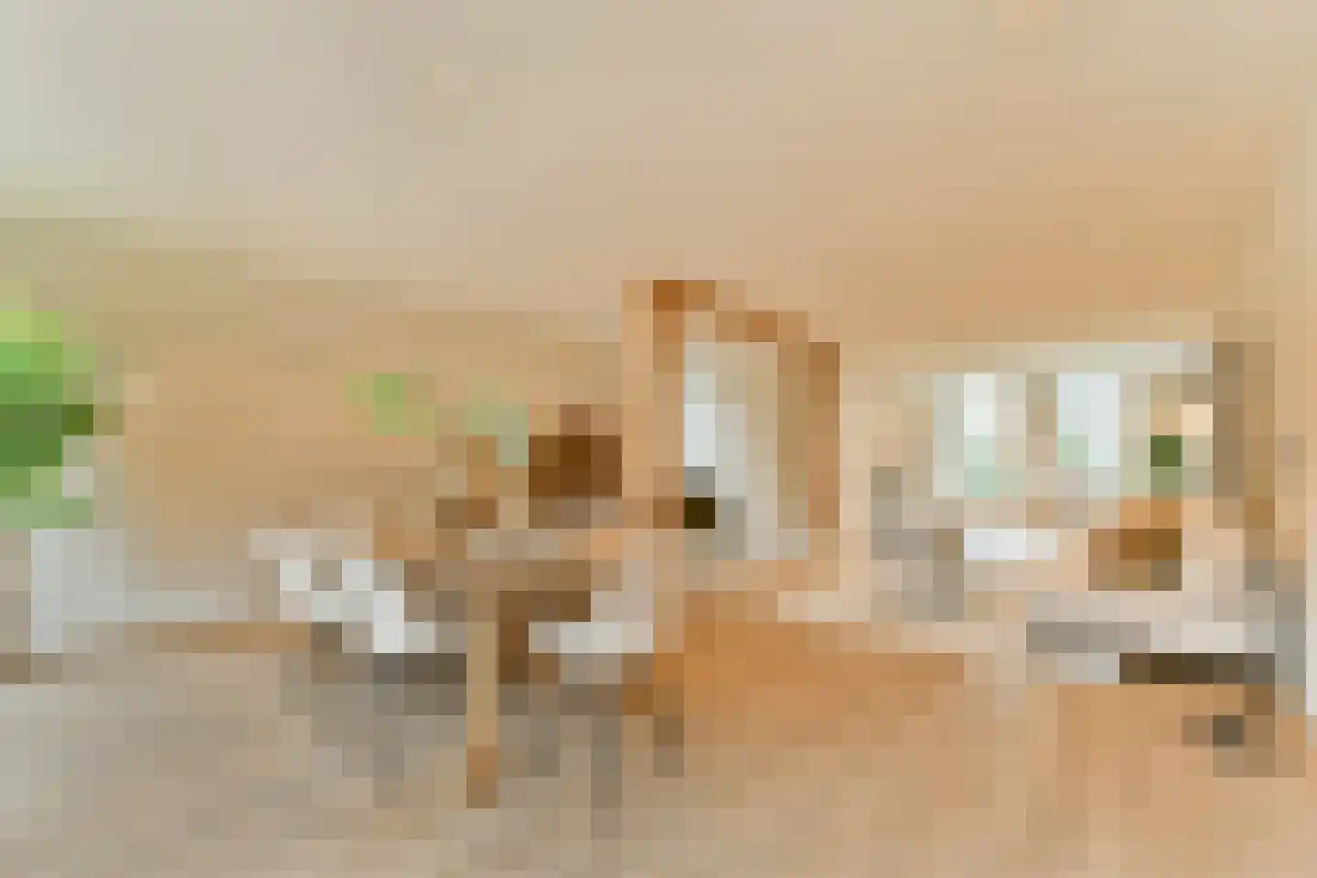 Noordeinde 134 Landsmeer thumbnail 8