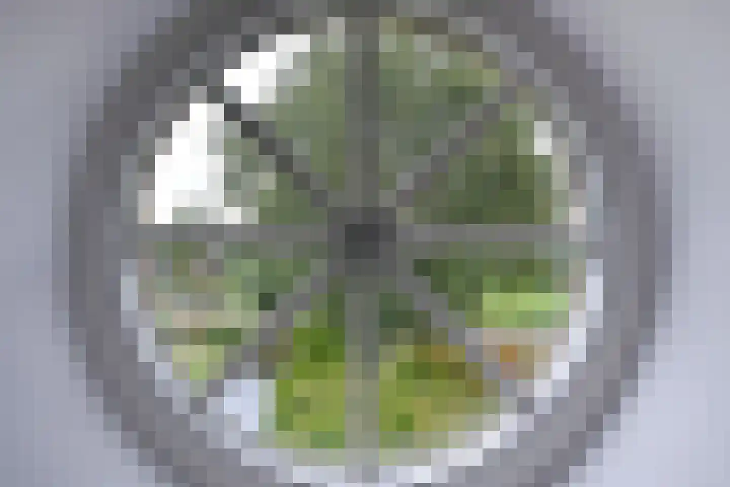 Noordeinde 14 Aarlanderveen thumbnail 10