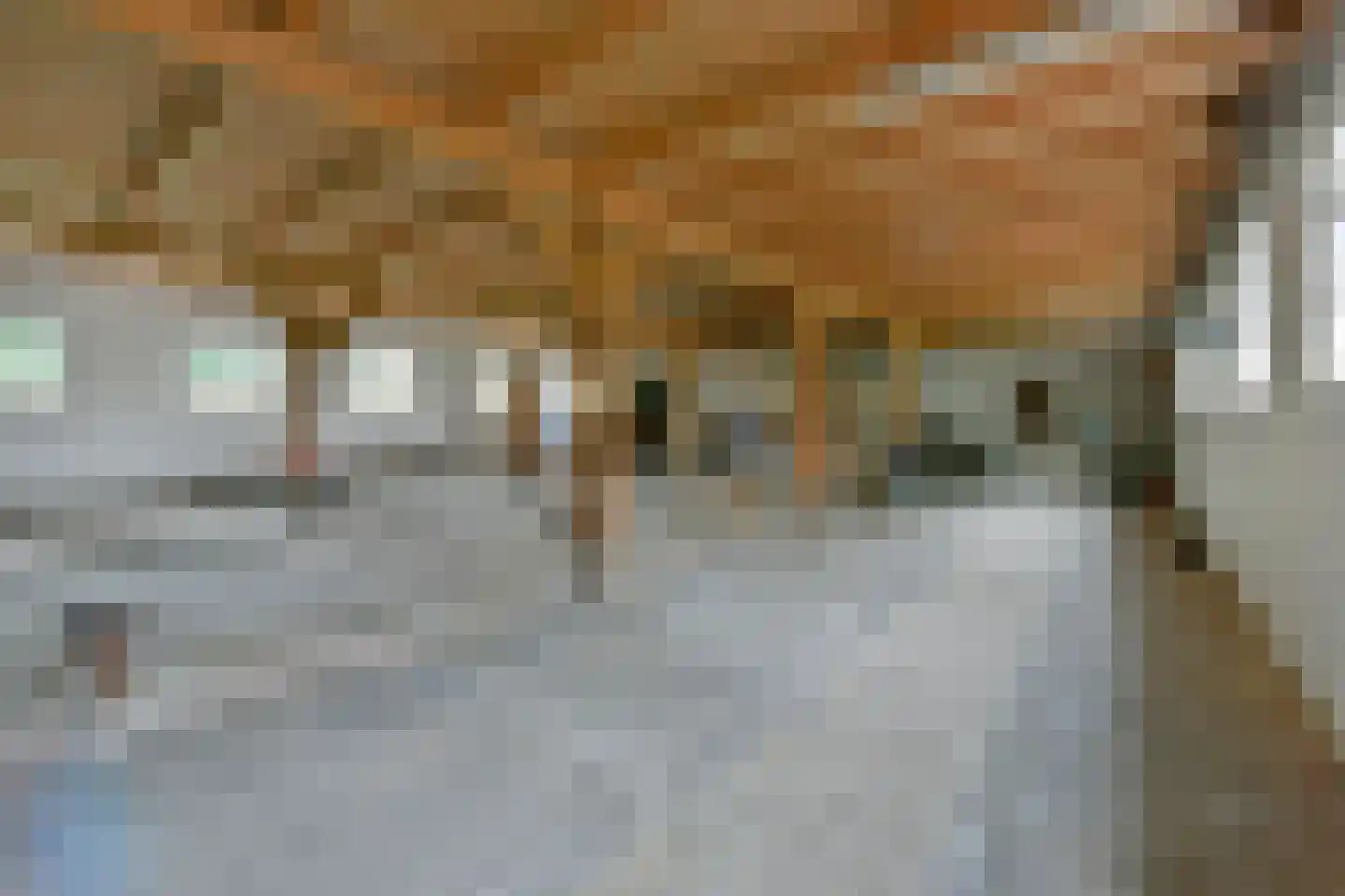 Noordeinde 14 Aarlanderveen thumbnail 12