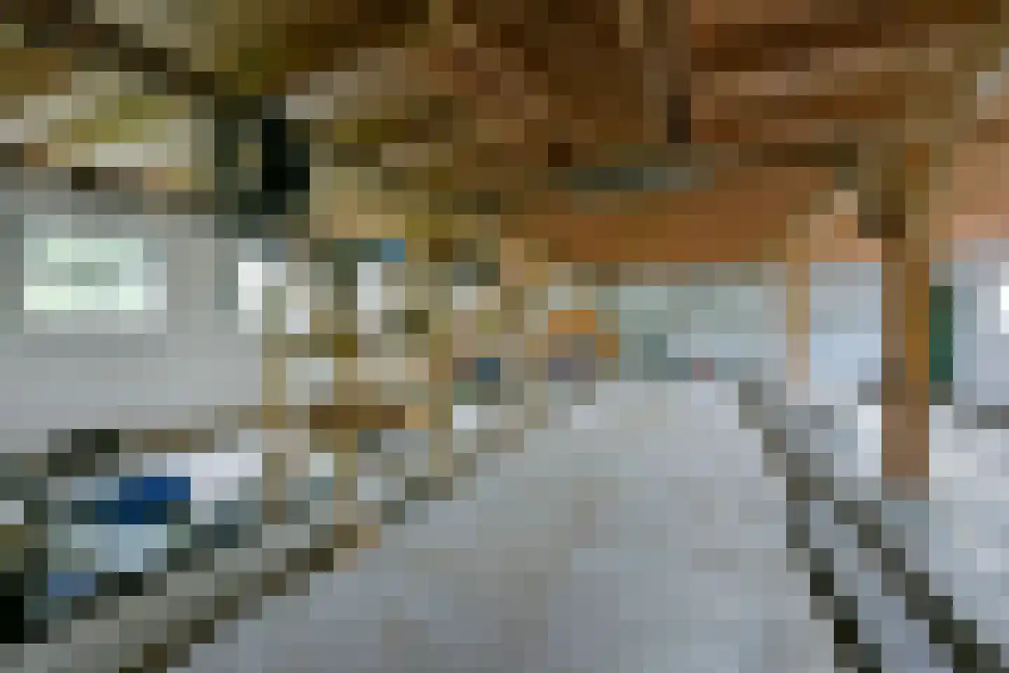Noordeinde 14 Aarlanderveen thumbnail 13