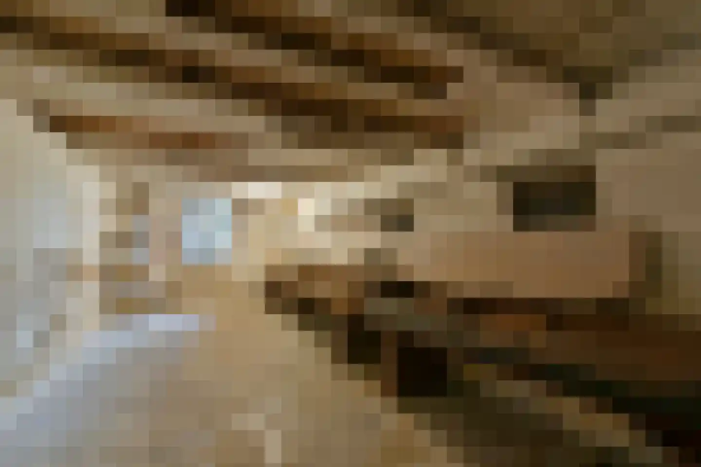 Noordeinde 14 Aarlanderveen thumbnail 15