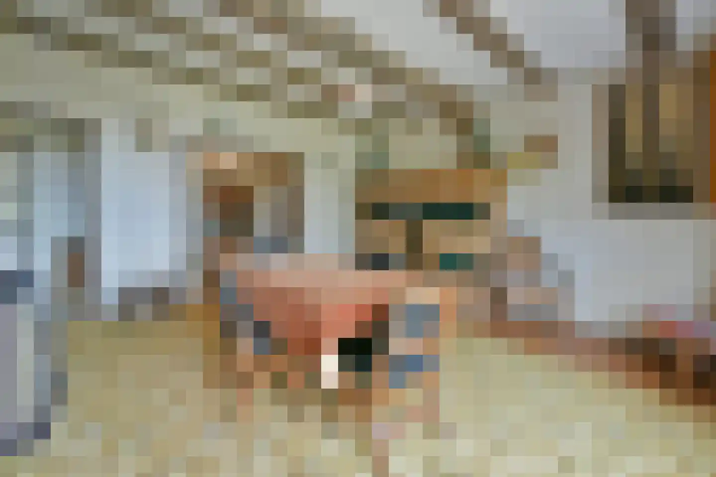 Noordeinde 14 Aarlanderveen thumbnail 18