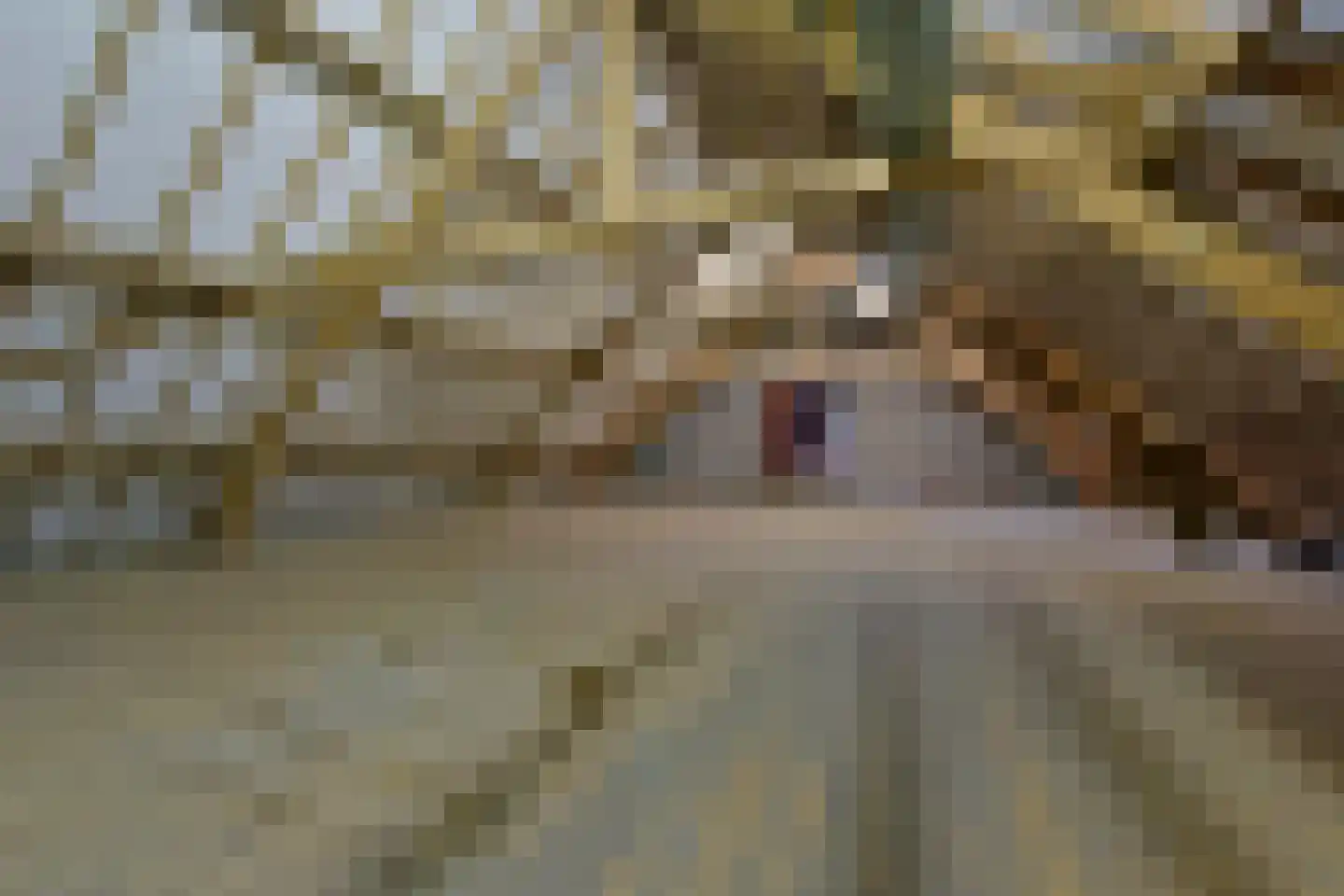 Noordeinde 14 Aarlanderveen thumbnail 22