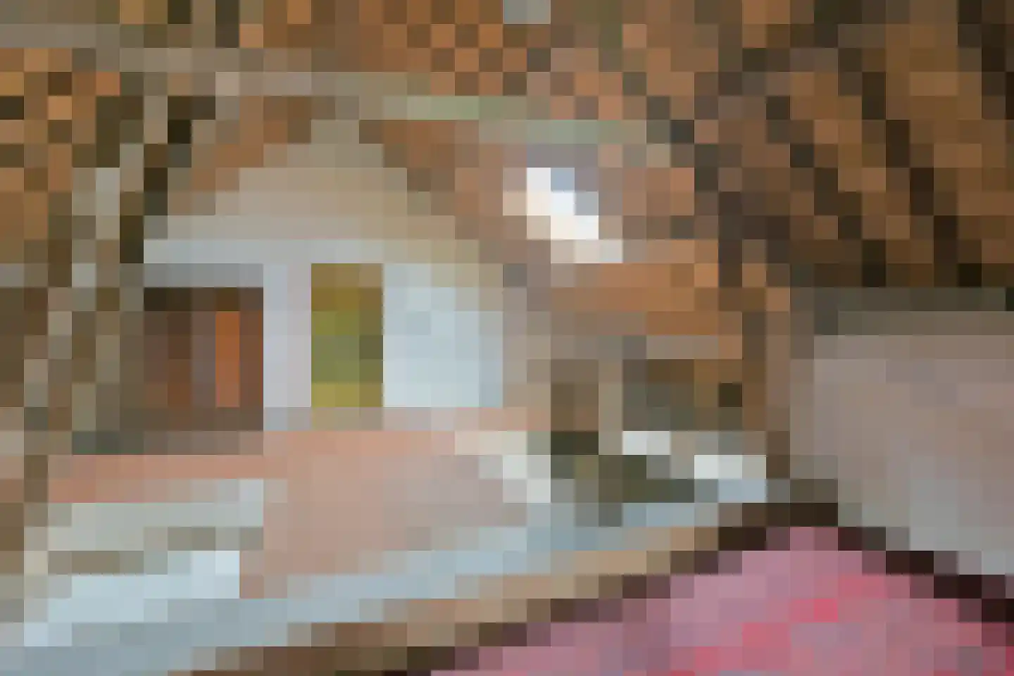 Noordeinde 14 Aarlanderveen thumbnail 23