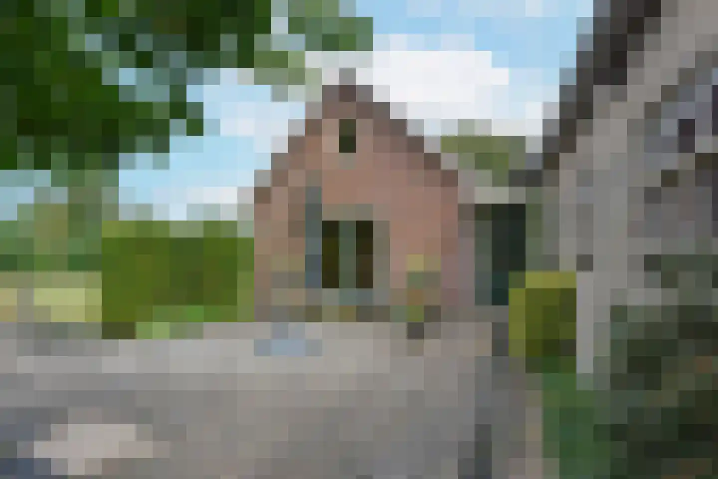 Noordeinde 14 Aarlanderveen thumbnail 28