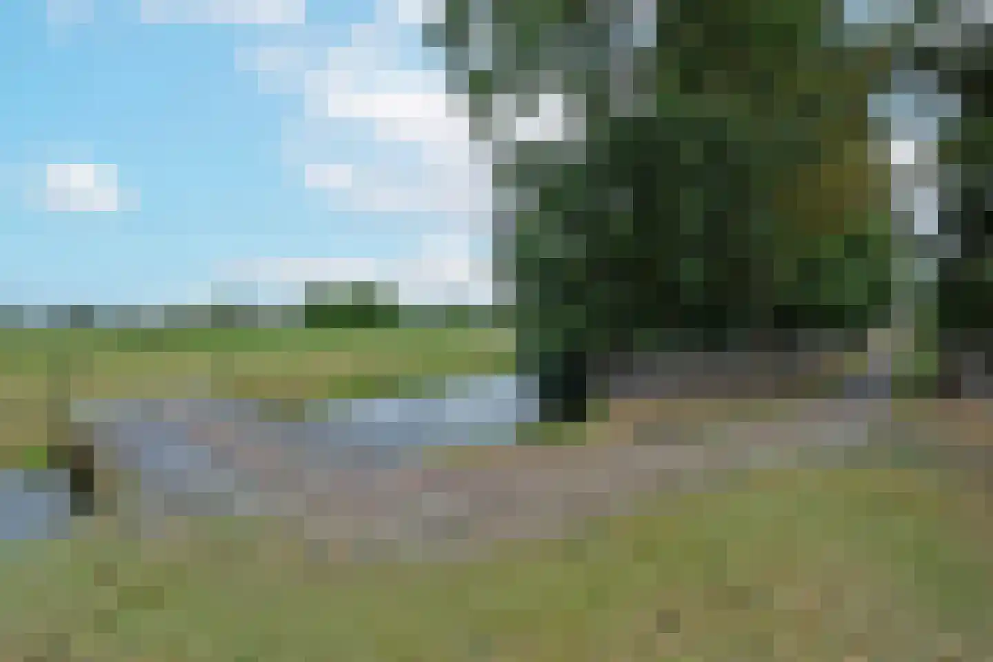 Noordeinde 14 Aarlanderveen thumbnail 29