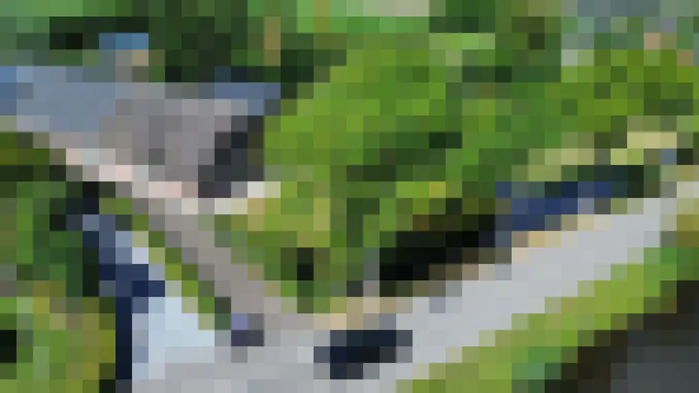 Noordeinde 14 Aarlanderveen thumbnail 4