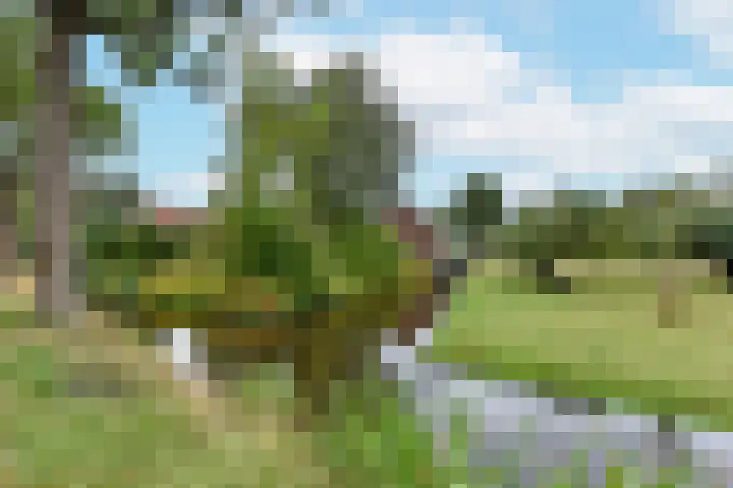 Noordeinde 14 Aarlanderveen thumbnail 41