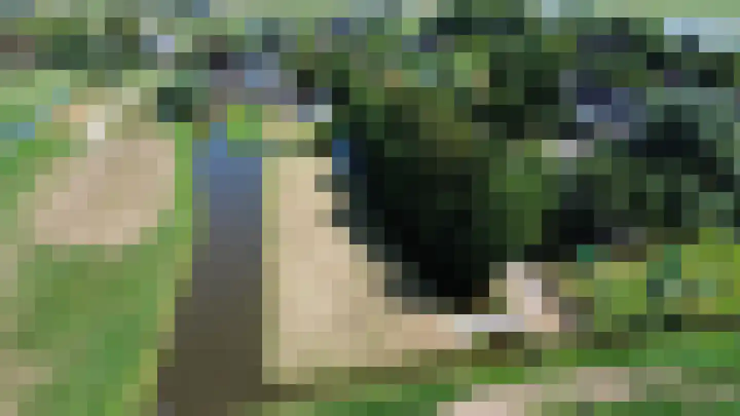 Noordeinde 14 Aarlanderveen thumbnail 42