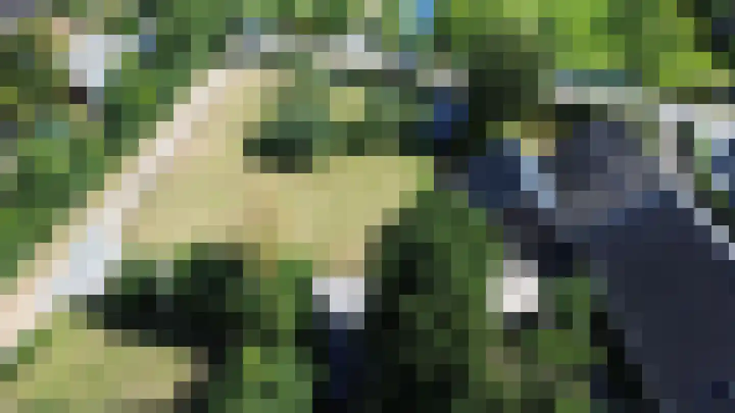 Noordeinde 14 Aarlanderveen thumbnail 43