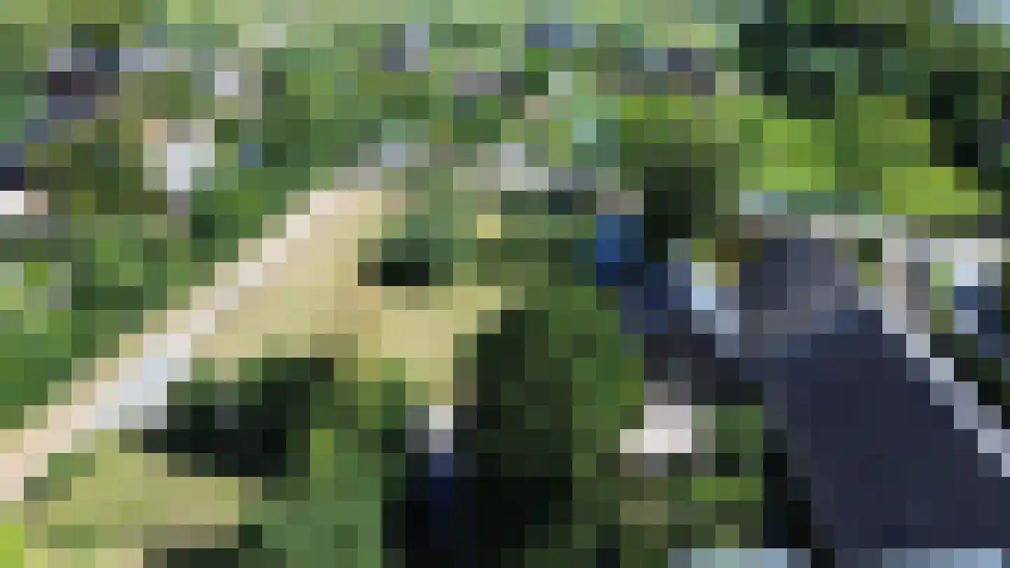 Noordeinde 14 Aarlanderveen thumbnail 44