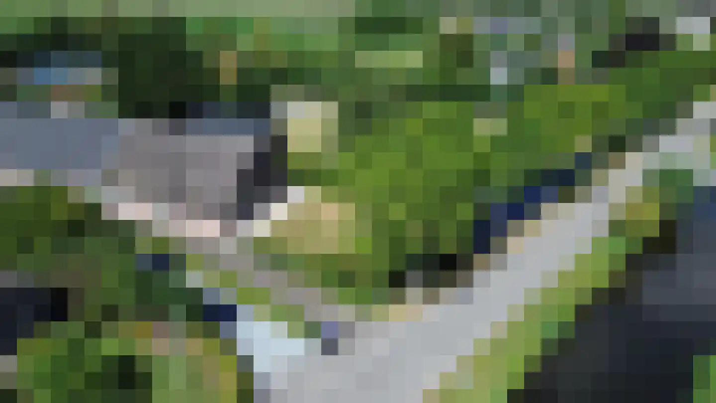 Noordeinde 14 Aarlanderveen thumbnail 45
