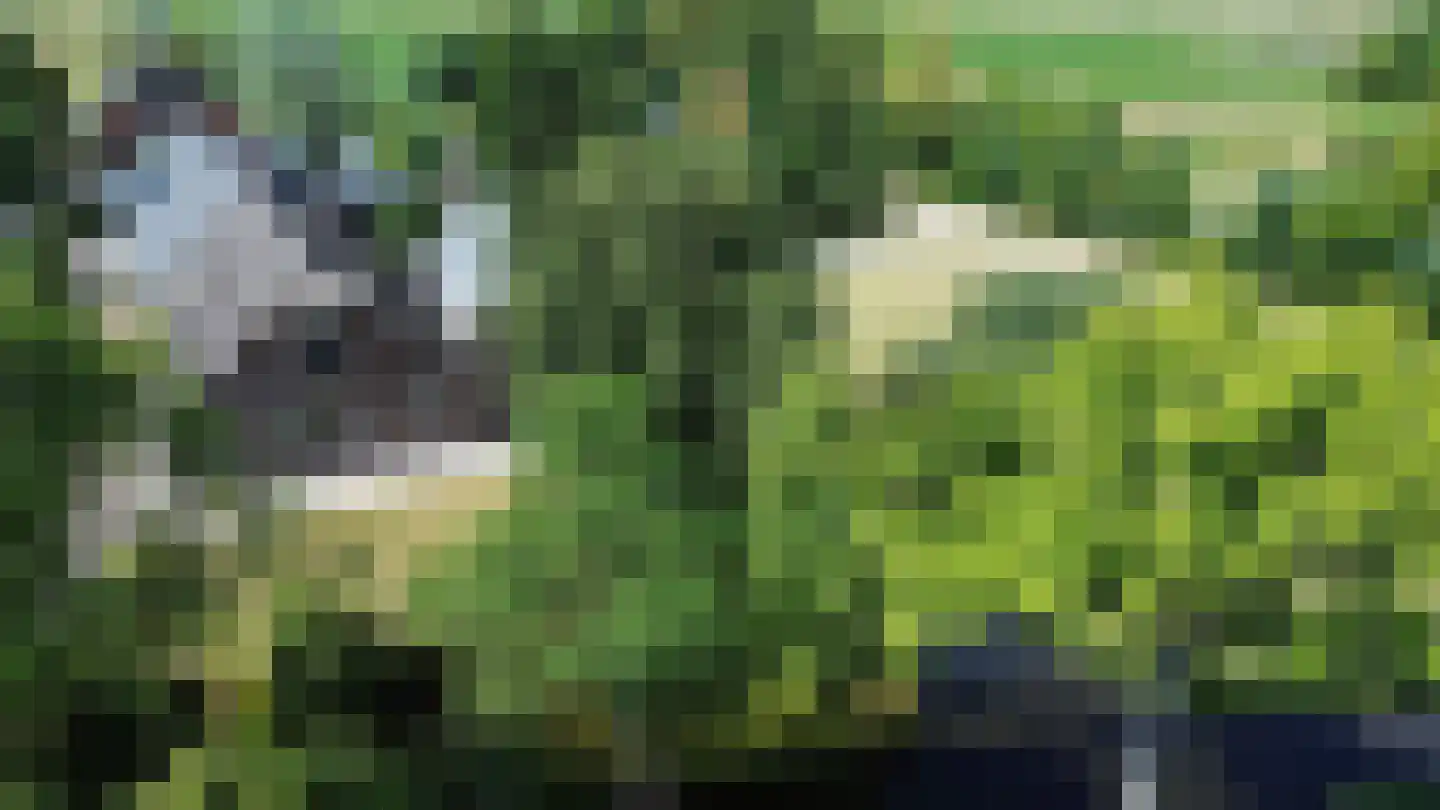 Noordeinde 14 Aarlanderveen thumbnail 46
