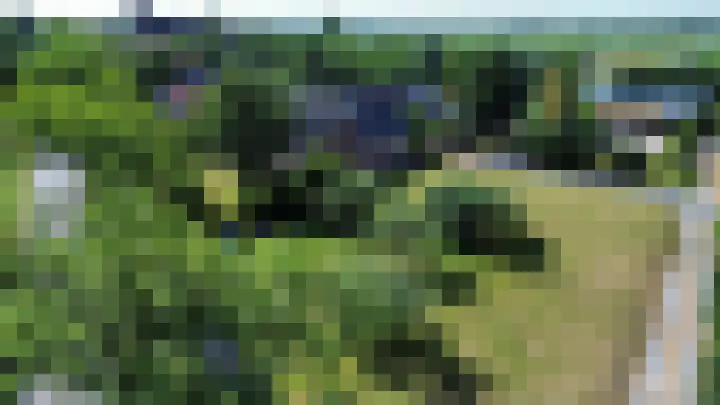Noordeinde 14 Aarlanderveen thumbnail 47