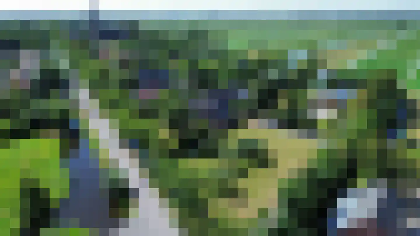 Noordeinde 14 Aarlanderveen thumbnail 48