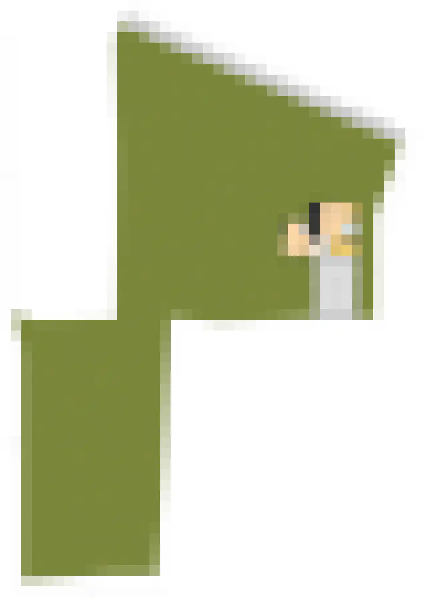 Noordeinde 14 Aarlanderveen thumbnail 49