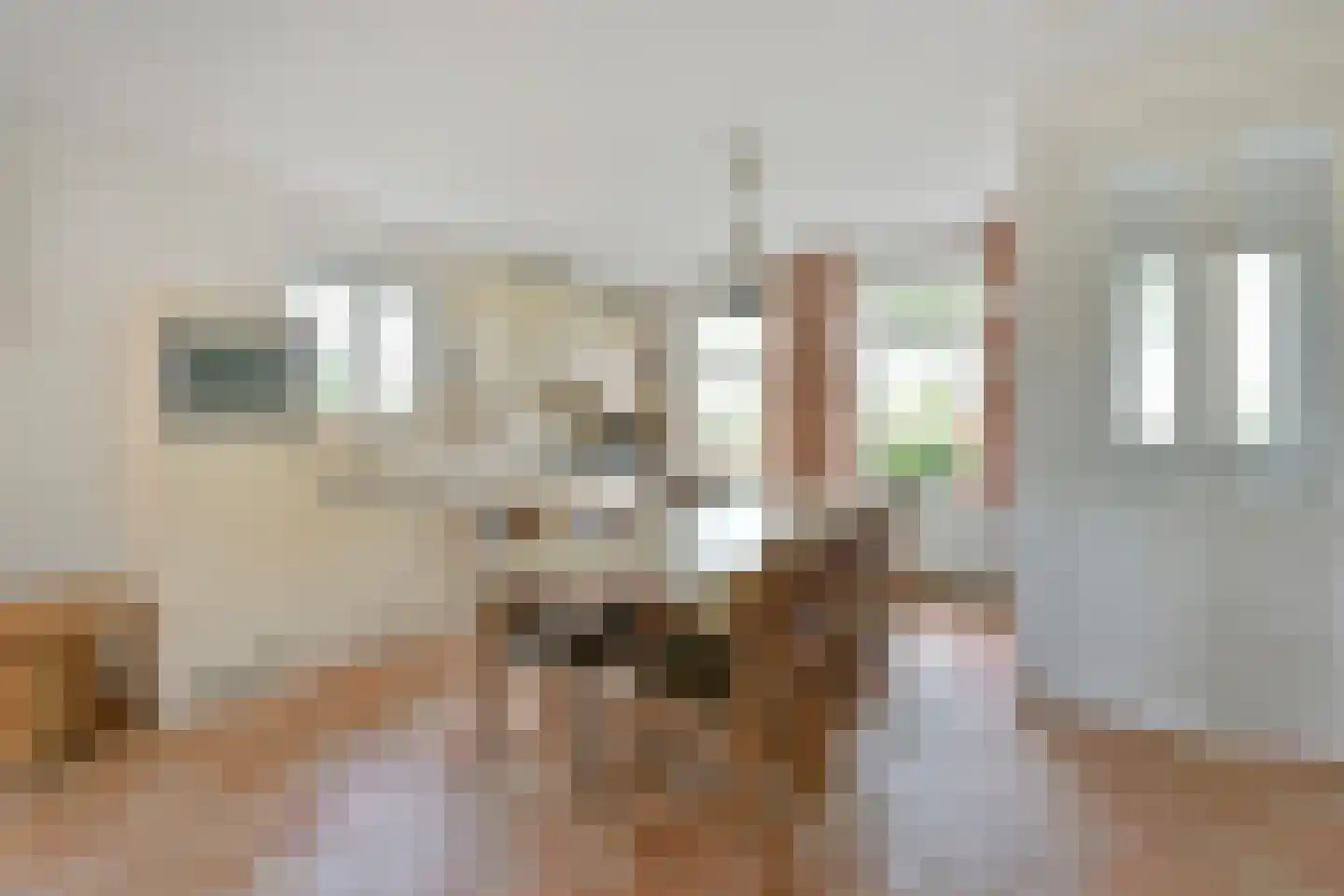 Noordeinde 14 Aarlanderveen thumbnail 7