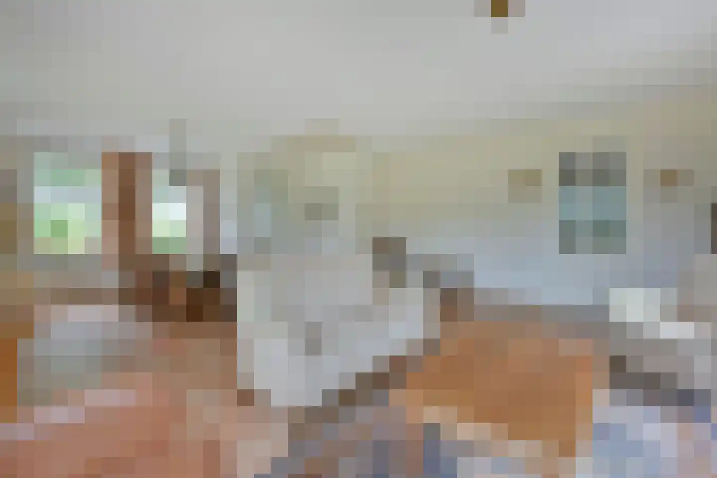 Noordeinde 14 Aarlanderveen thumbnail 8
