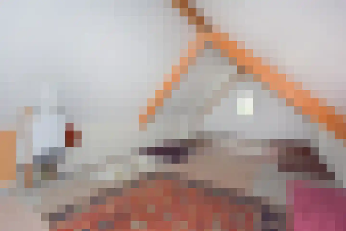 Noordeinde 14 Aarlanderveen thumbnail 9