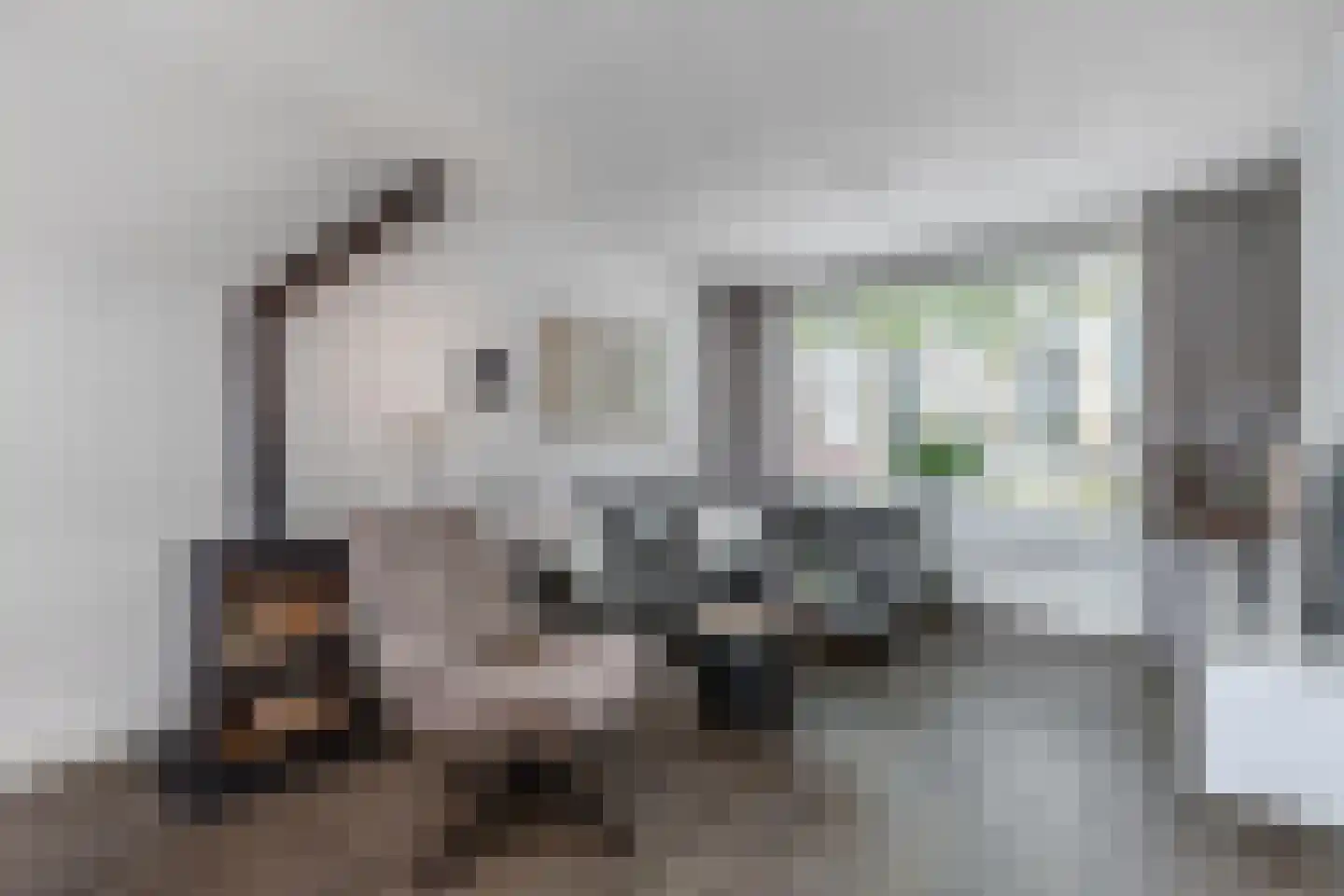 Noordeinde 14 Marknesse thumbnail 15
