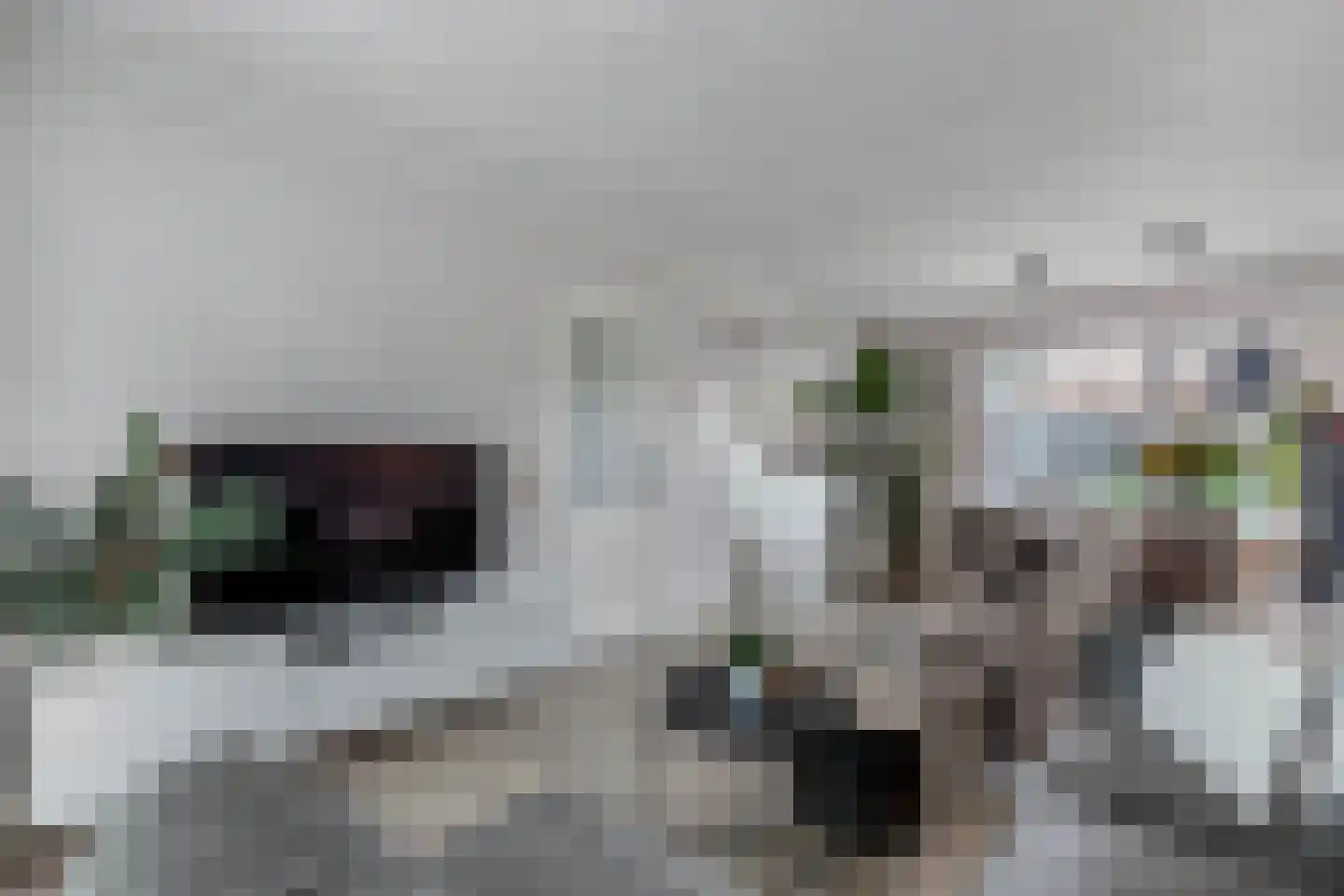 Noordeinde 14 Marknesse thumbnail 17