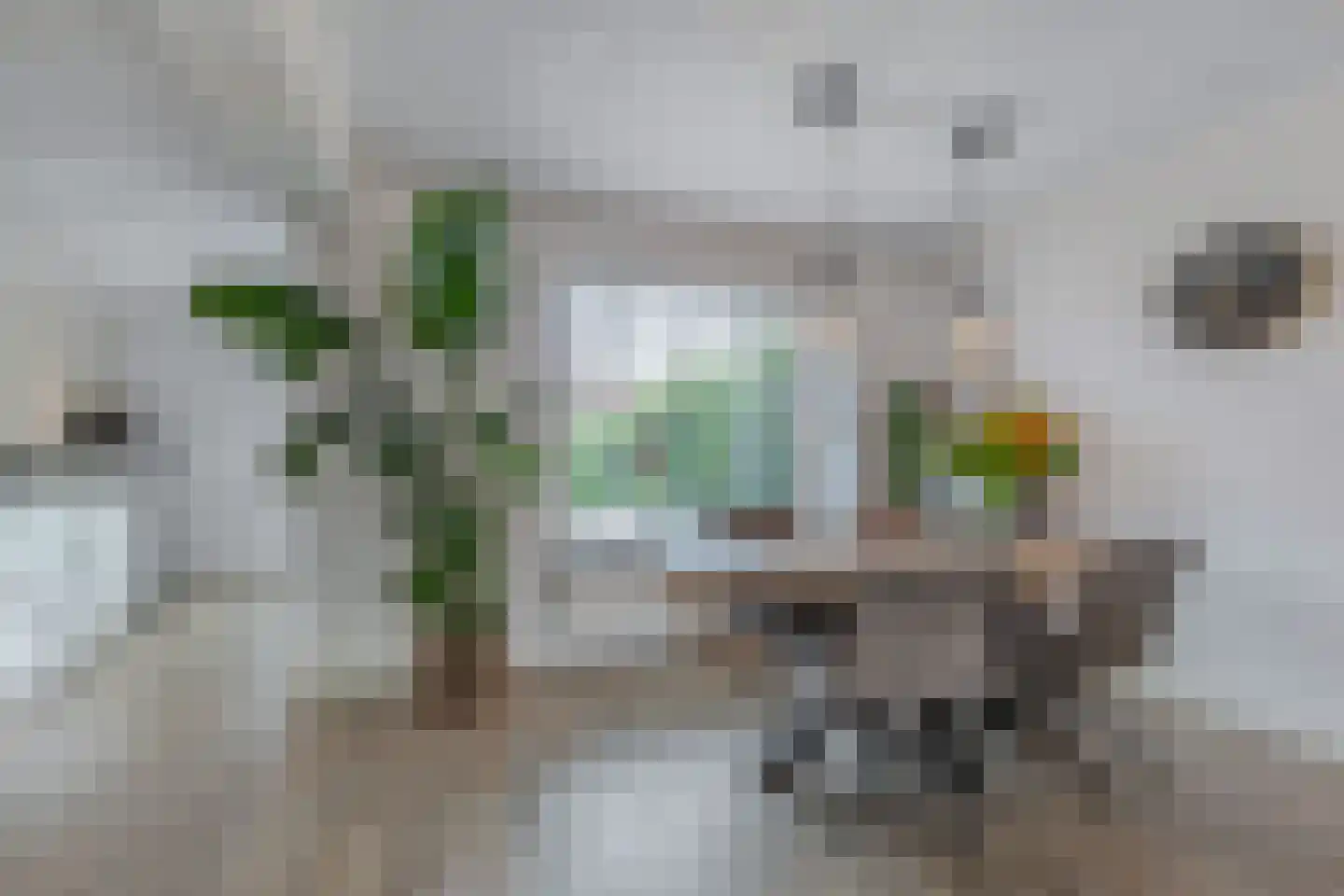 Noordeinde 14 Marknesse thumbnail 18