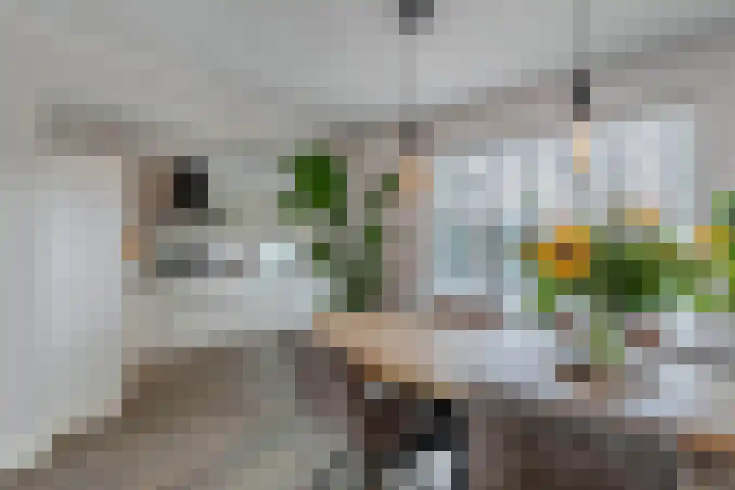 Noordeinde 14 Marknesse thumbnail 19