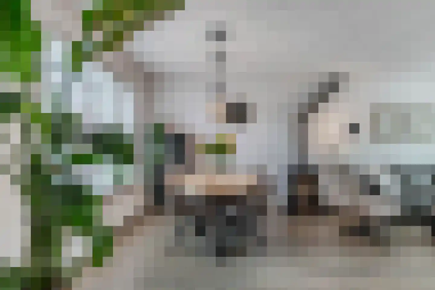 Noordeinde 14 Marknesse thumbnail 20