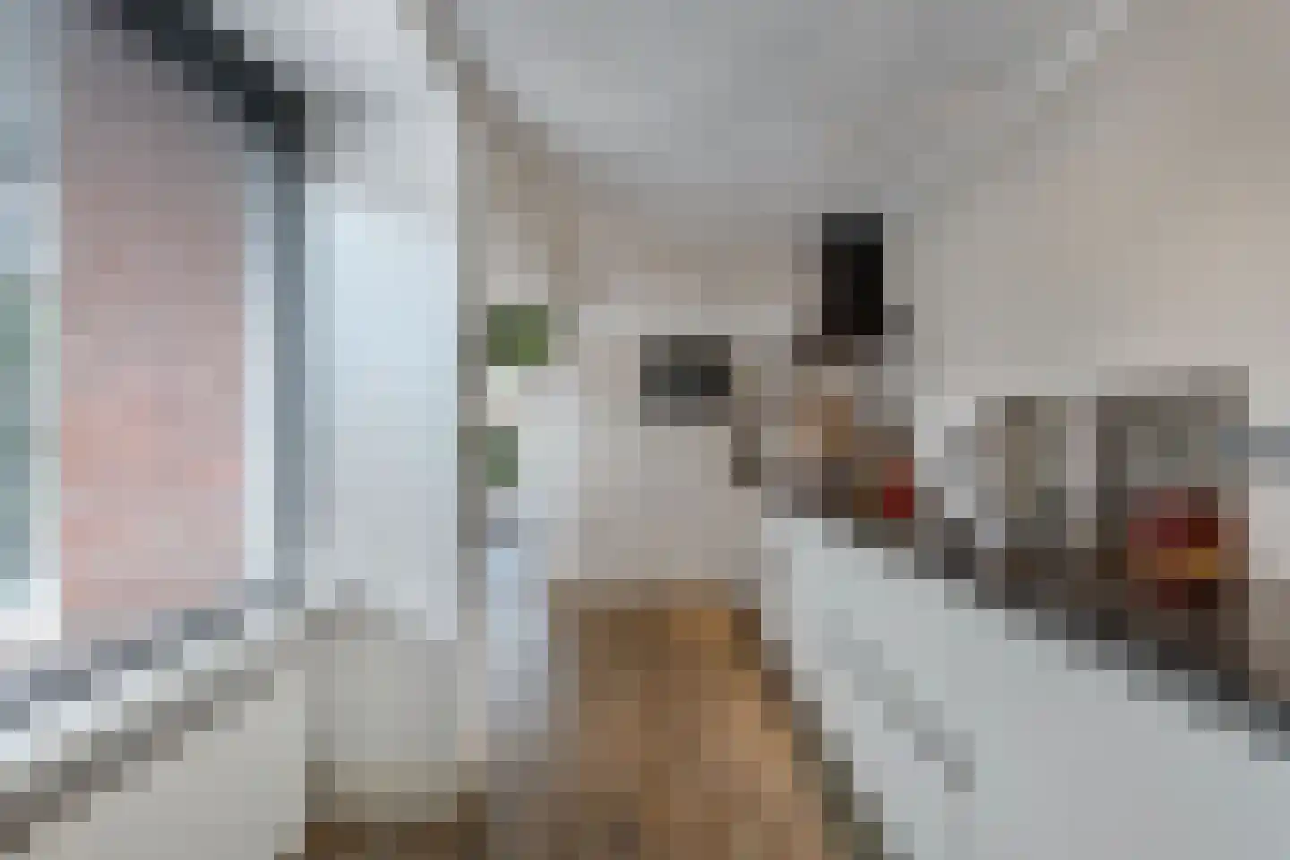 Noordeinde 14 Marknesse thumbnail 22