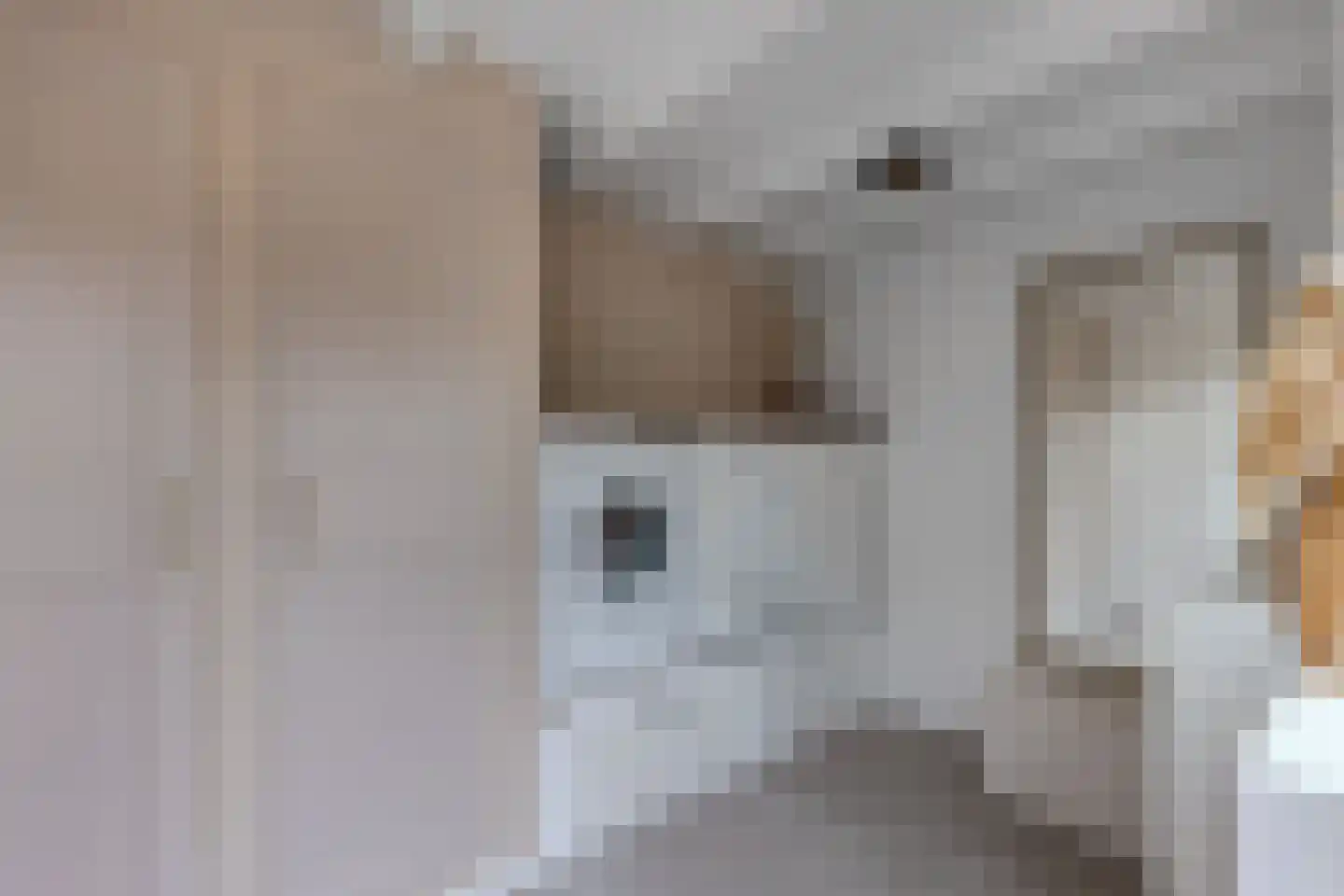 Noordeinde 14 Marknesse thumbnail 23