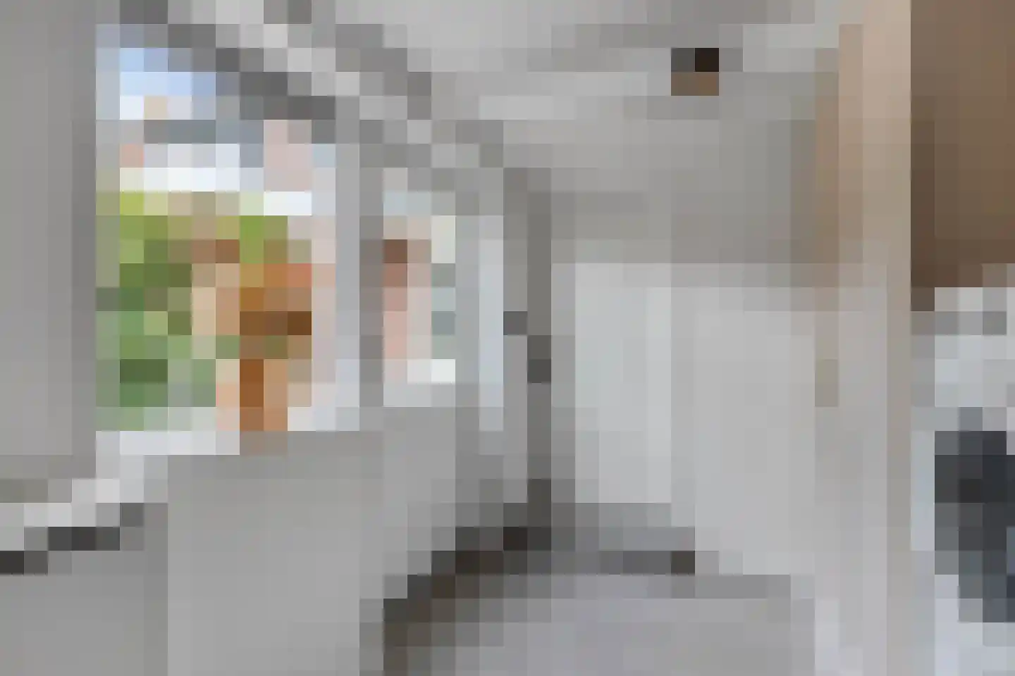 Noordeinde 14 Marknesse thumbnail 24