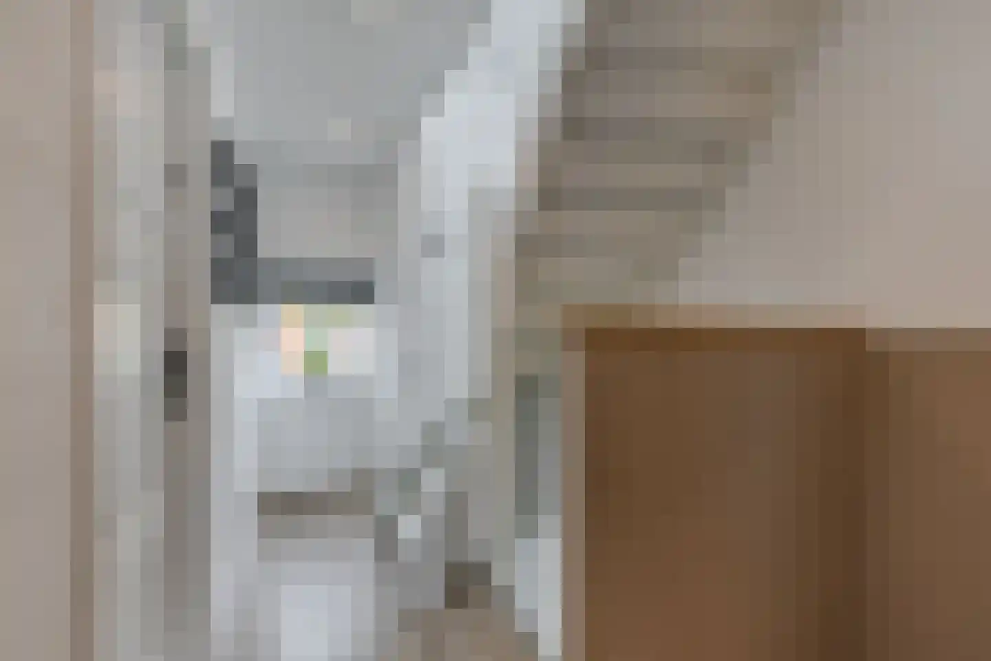 Noordeinde 14 Marknesse thumbnail 25